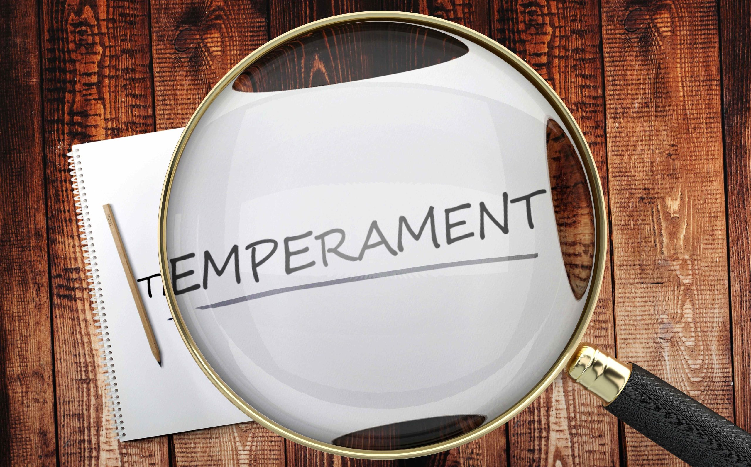 HOW TEMPERAMENT TYPE CAN INFLUENCE YOUR CAREER